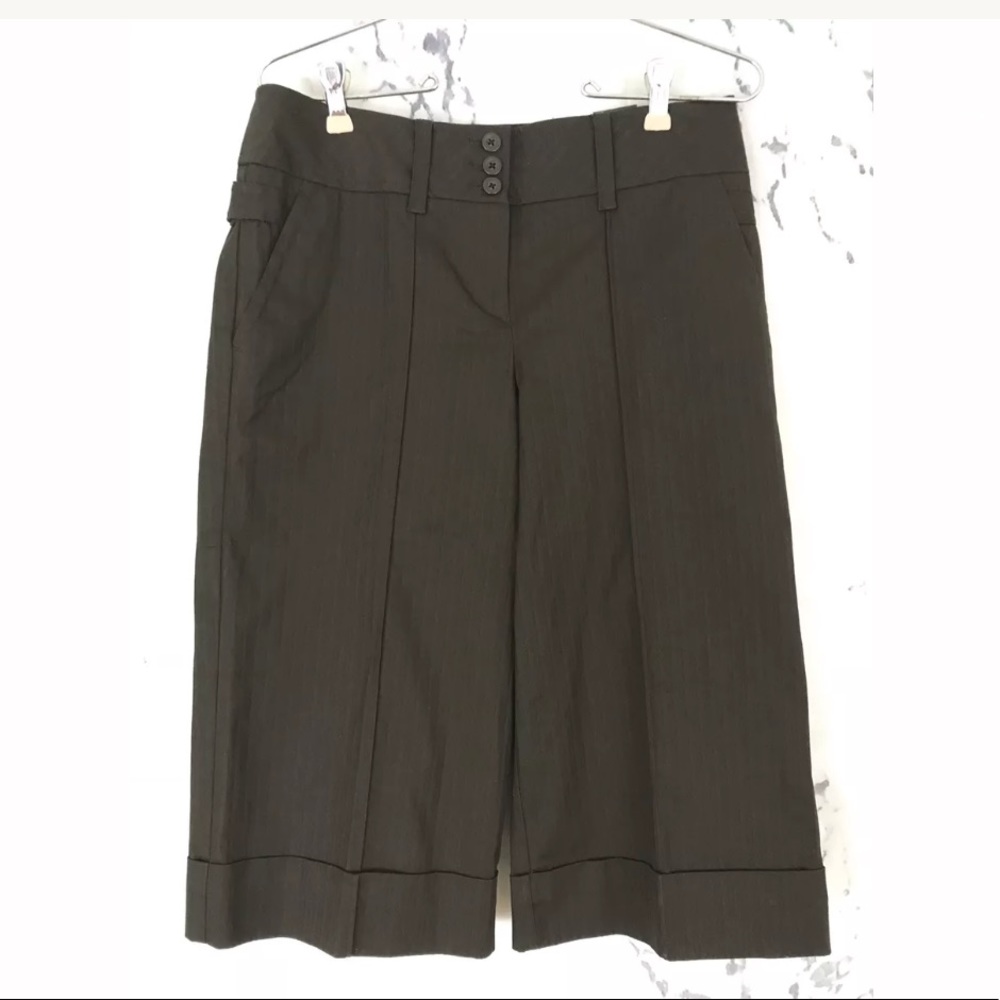 Ann Taylor Loft Capri "Ann" Cropped Size 4